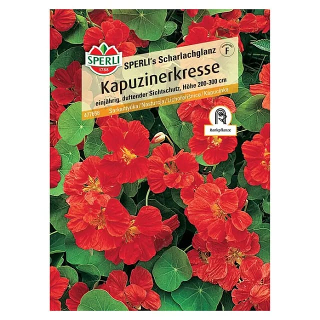 Sperli Kapuzinerkresse SPERLI's Scharlachglanz
