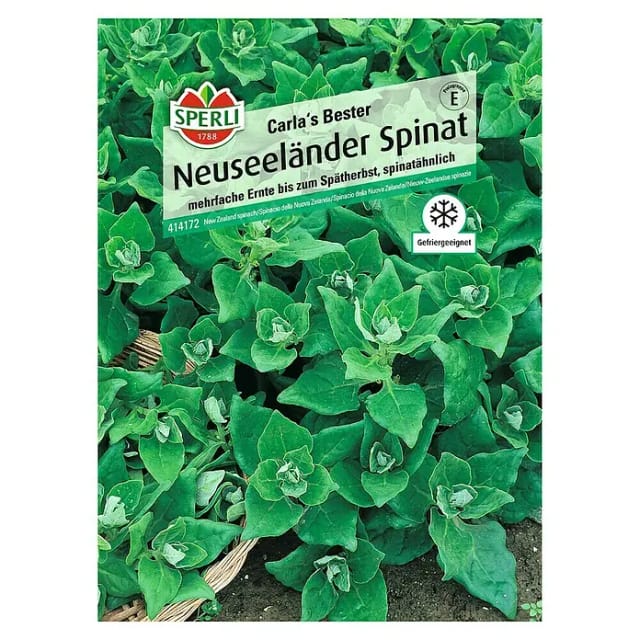 Sperli Neuseeländer Spinat Carla's Bester