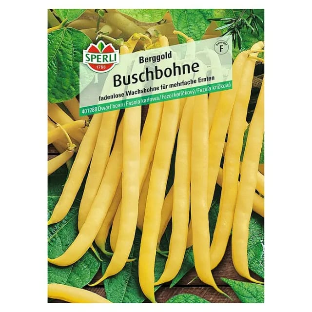 Sperli Buschbohne Berggold