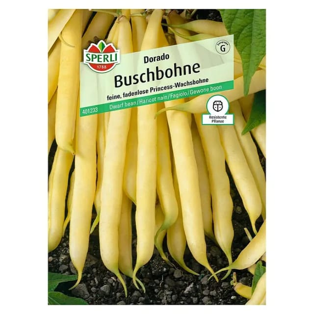 Sperli Buschbohne Dorado