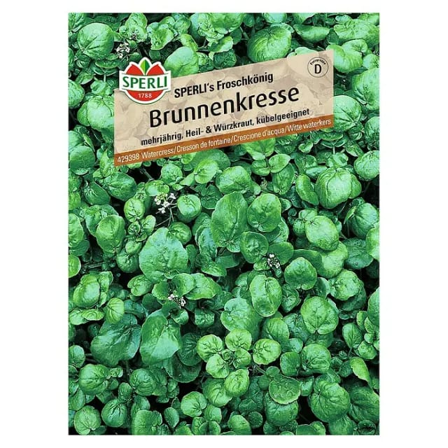 Sperli Brunnenkresse Sperli 's Froschkönig