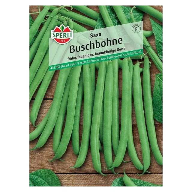 Sperli Buschbohne Saxa