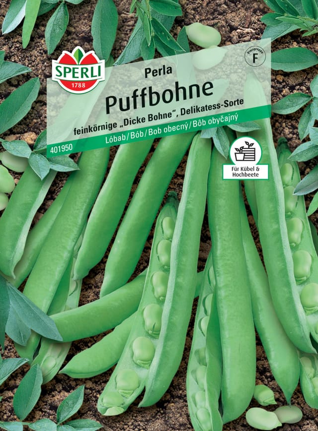 Sperli Puffbohne Perla