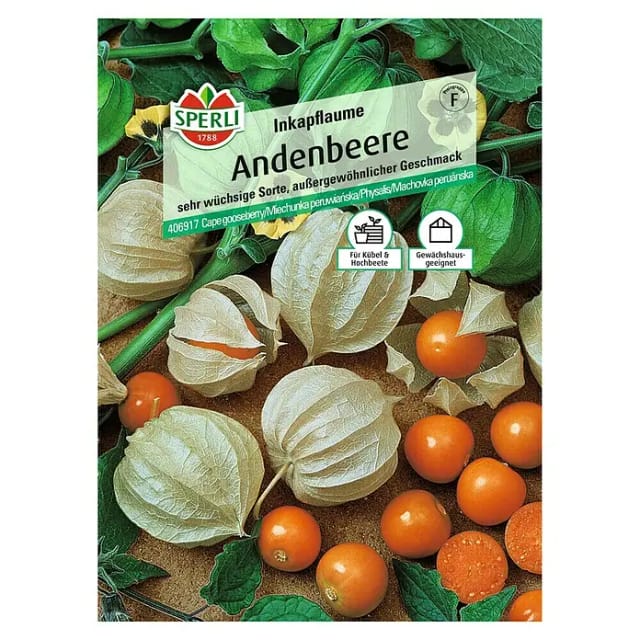 Sperli Andenbeere Inkapflaume