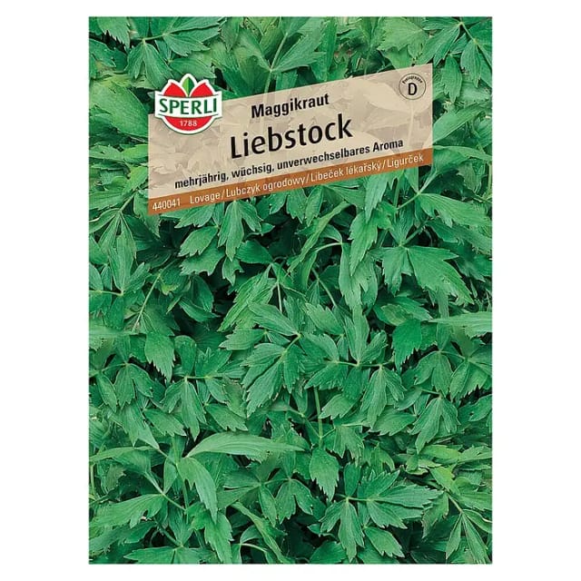 Sperli Liebstöckel Maggikraut