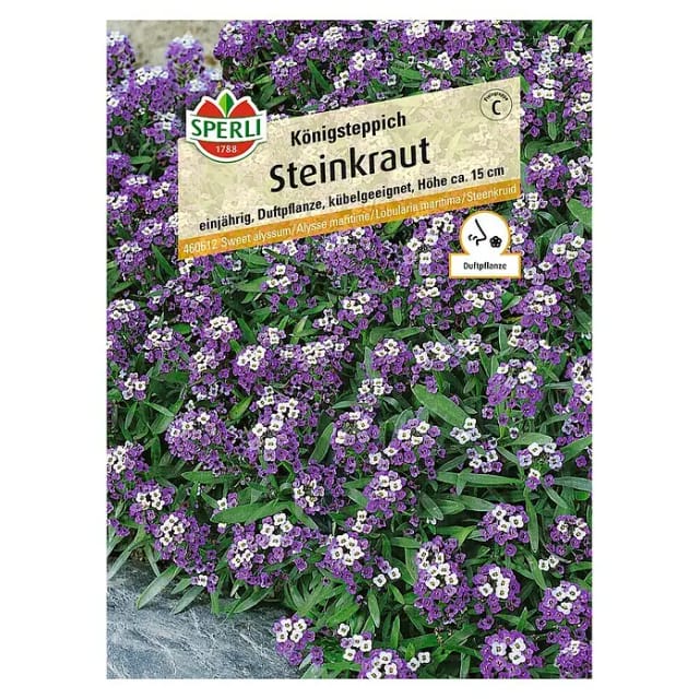 Sperli Steinkraut Königsteppich