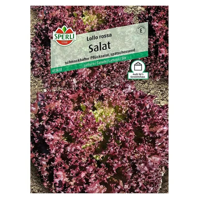 Sperli Pflücksalat Lollo rossa