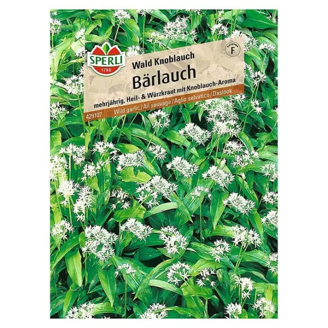 Sperli Bärlauch Waldknoblauch
