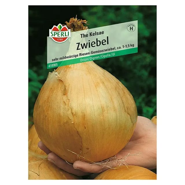 Sperli Gemüsezwiebel The Kelsae
