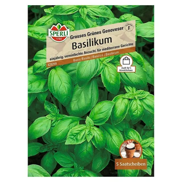 Sperli Basilikum Grosses Grünes Genoveser Saatscheibe