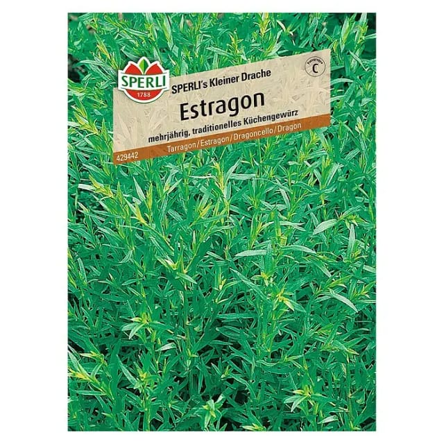Sperli Estragon Sperli 's Kleiner Drache