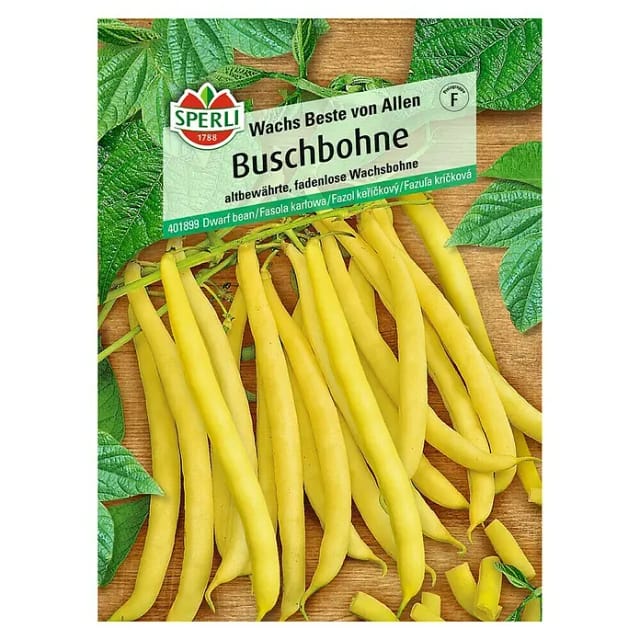 Sperli Buschbohne Wachs Beste von Allen