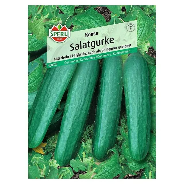 Sperli Salatgurke Konsa F1