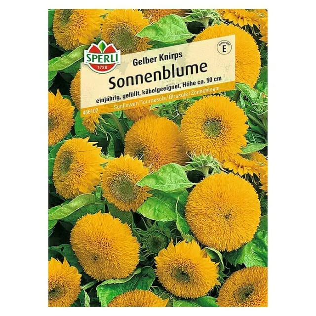 Sperli Sonnenblume Gelber Knirps F1