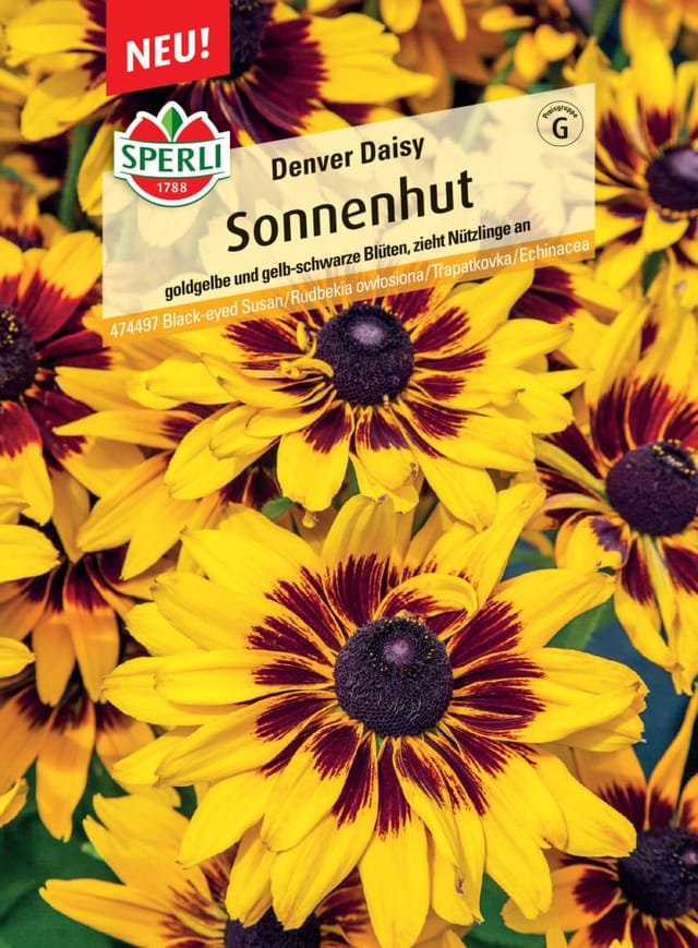 Sperli Sonnenhut Denver Daisy