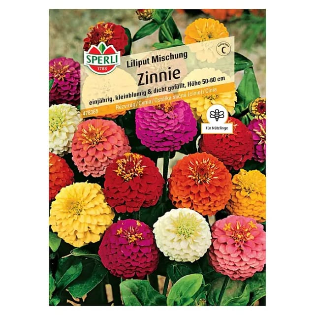 Sperli Zinnie Liliput Mischung