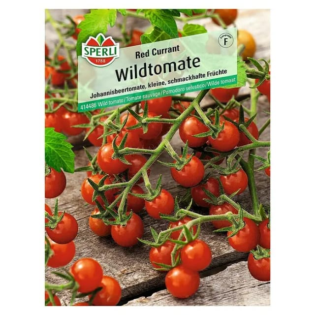 Sperli Wildtomate Red Currant