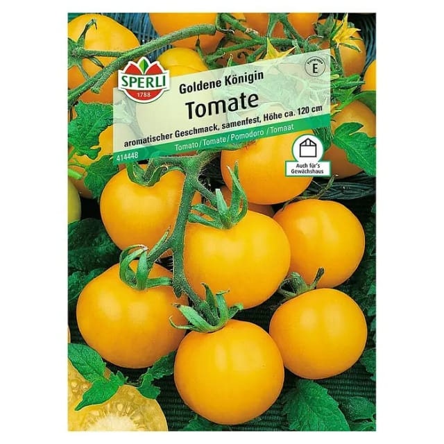 Sperli Salat-Tomate Goldene Königin
