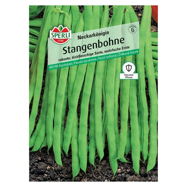 Sperli Stangenbohne Neckarkönigin