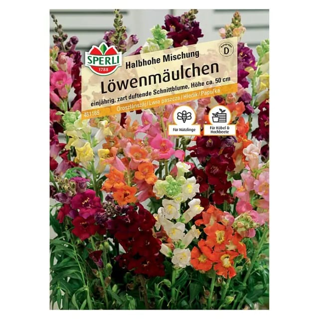 Sperli Löwenmäulchen Halbhohe Mischung