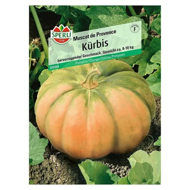 Sperli Mochus-Kürbis Muscat de Provence