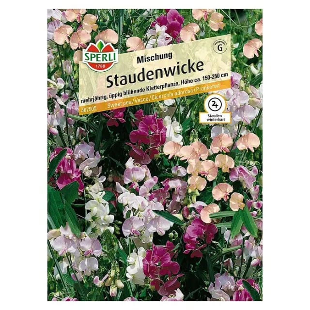 Sperli Staudenwicke Mischung