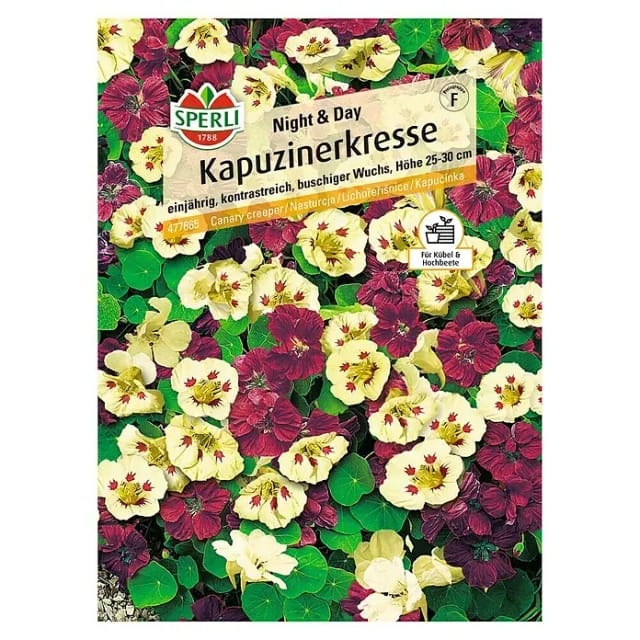 Sperli Kapuzinerkresse Night & Day