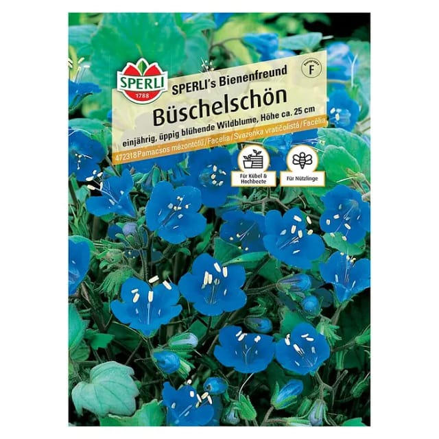 Sperli Büschelschön SPERLI's Bienenfreund