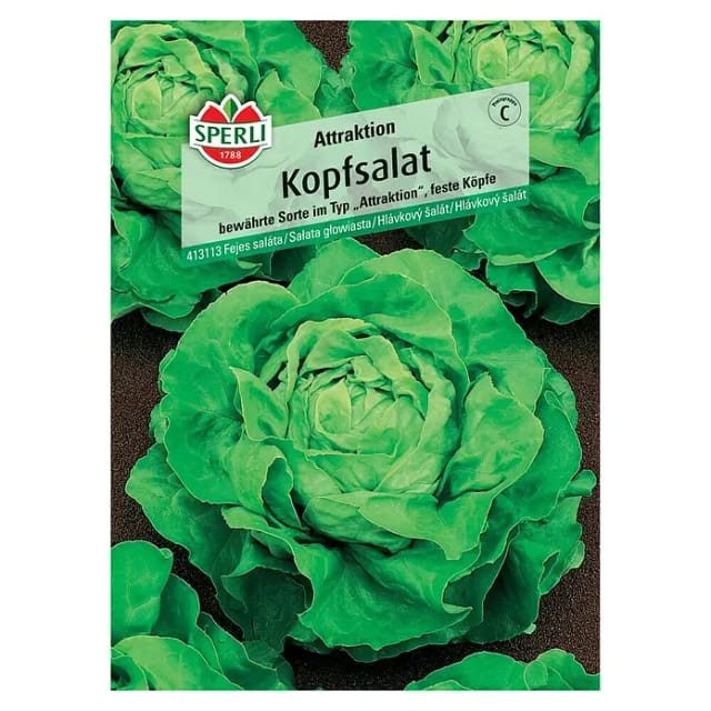Sperli Kopfsalat Attraktion