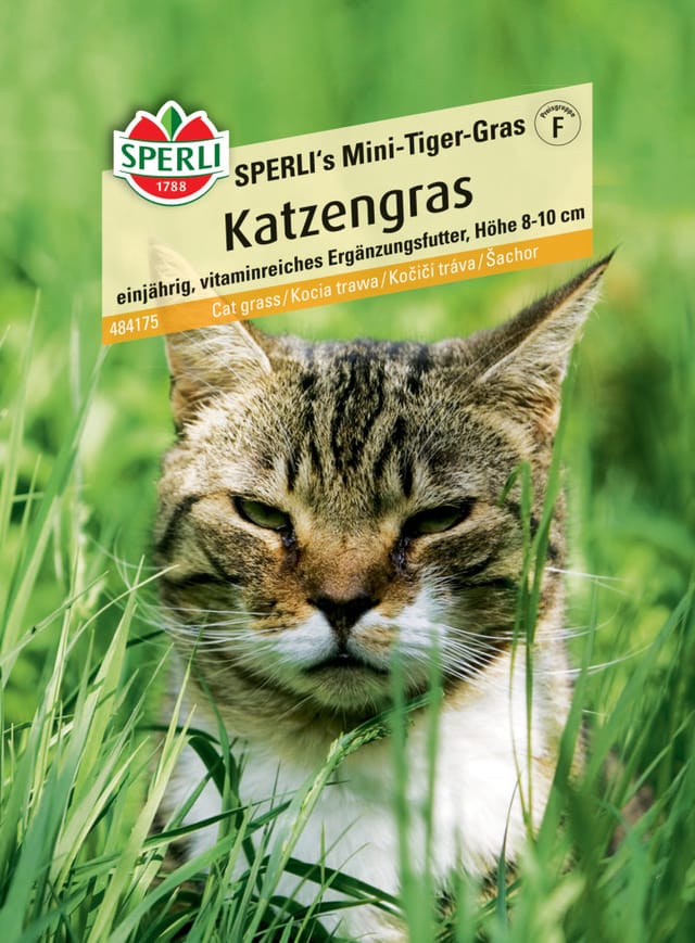 Sperli Katzengras SPERLI's Mini-Tiger-Gras