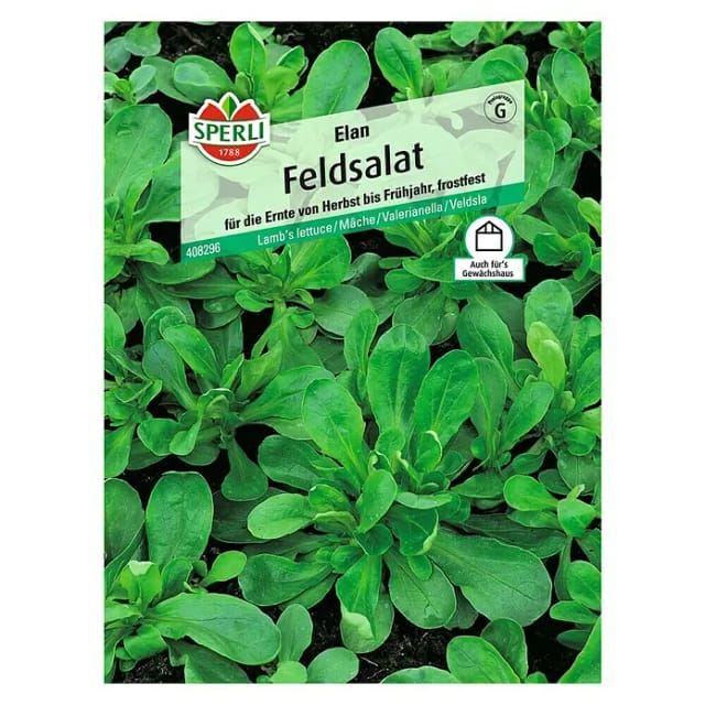 Sperli Feldsalat Elan