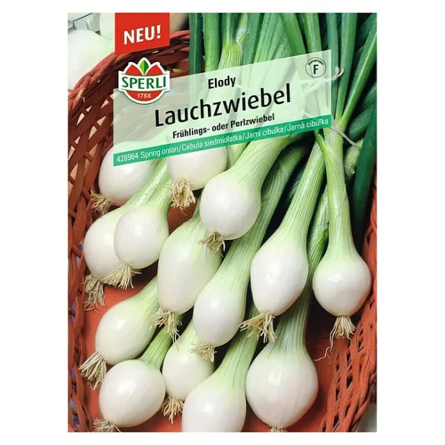Sperli Lauchzwiebel Elody