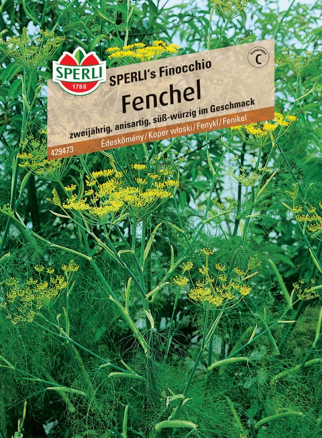 Sperli Fenchel Sperli 's Finocchio