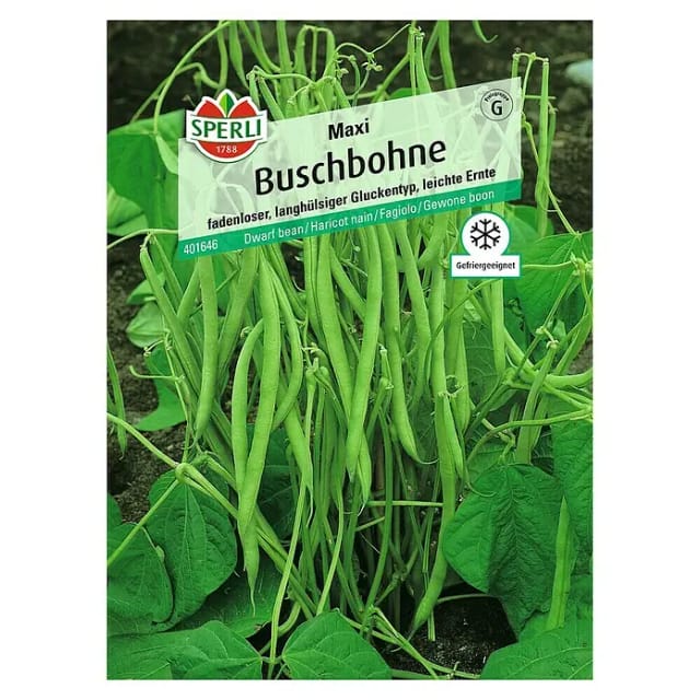 Sperli Buschbohne Maxi