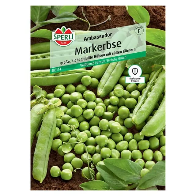 Sperli Markerbse Ambassador