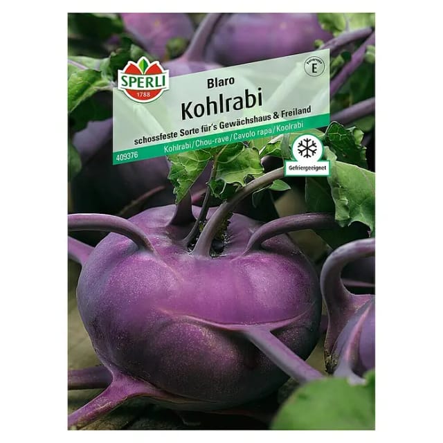 Sperli Kohlrabi Blaro