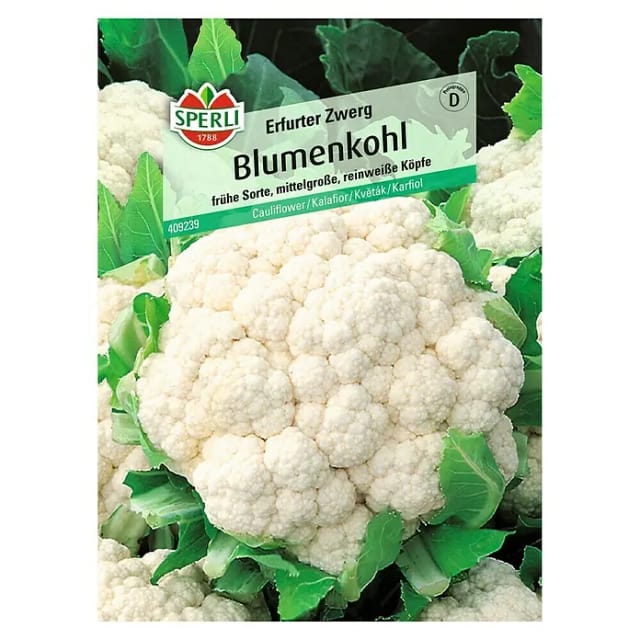 Sperli Blumenkohl Bola de Neve