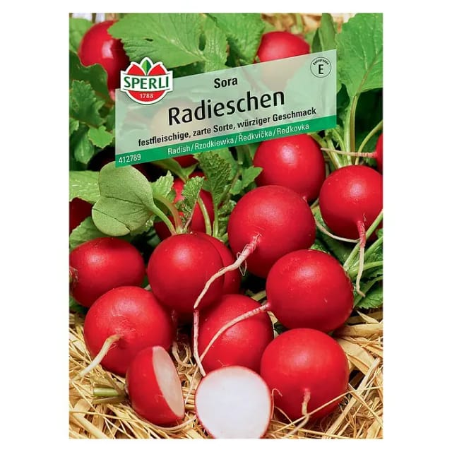 Sperli Radieschen Sora