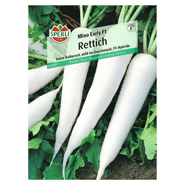 Sperli Rettich Mino Early