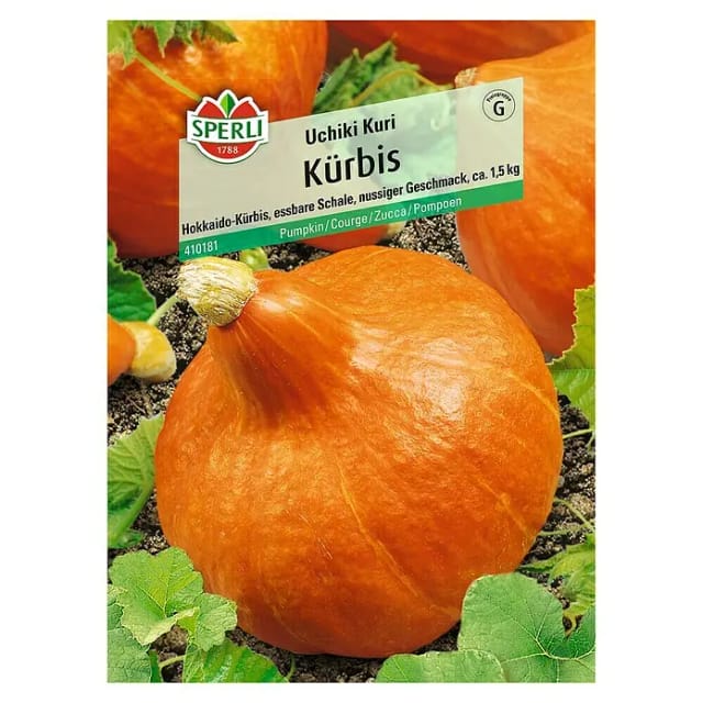 Sperli Hokkaido-Kürbis Uchiki Kuri