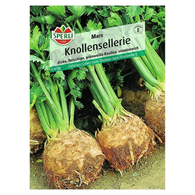 Sperli Knollensellerie Mars