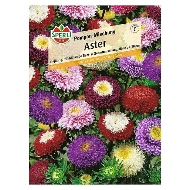 Sperli Sommeraster Pompon-Mischung