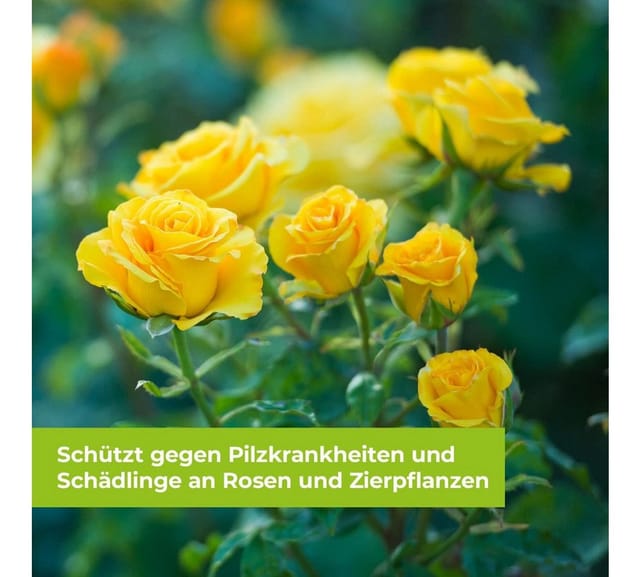Protect Garden Curamat AZ Universal-Pilzfrei 1 L