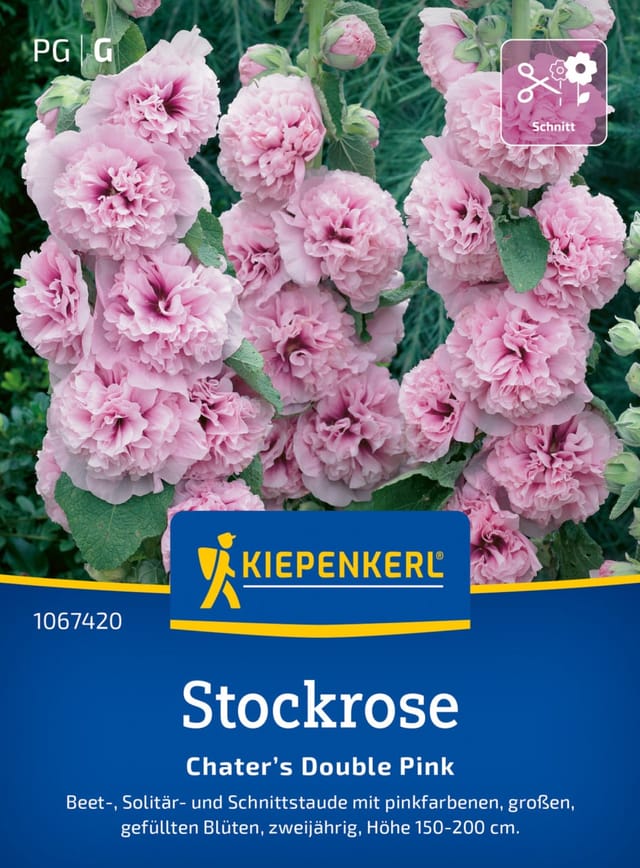 Kiepenkerl Blumensamen Stockrosen Chater’s Double Pink für ca. 30 Pflanzen