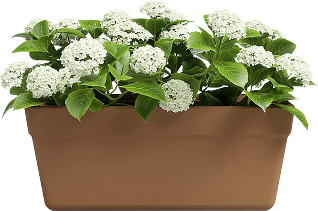 Artevasi Pflanzkasten Amália Terrakotta tonrot 42 x 17 cm