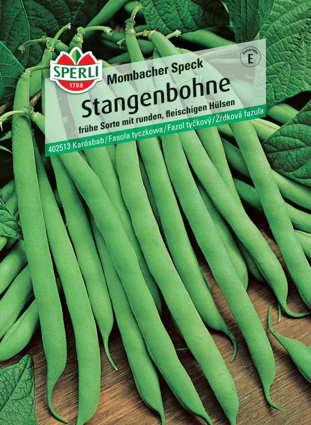 Sperli Saatgut Stangenbohnen Mombacher Speck für ca. 13-18 Stangen