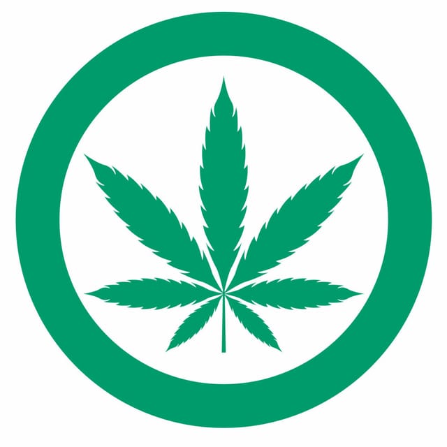 Metafranc Hinweisschild Cannabis erlaubt 15 x 15 cm