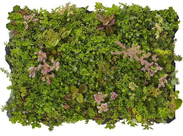 Plantile Dachbegrünungs-Komplettset mit Folie und Vlies für 30 m² Dachfläche