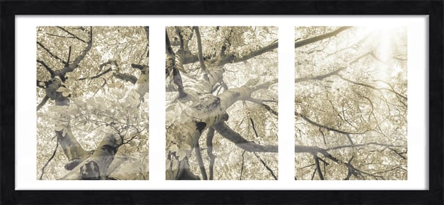 Bilderrahmen Holz Luzern schwarz 23 x 50 cm