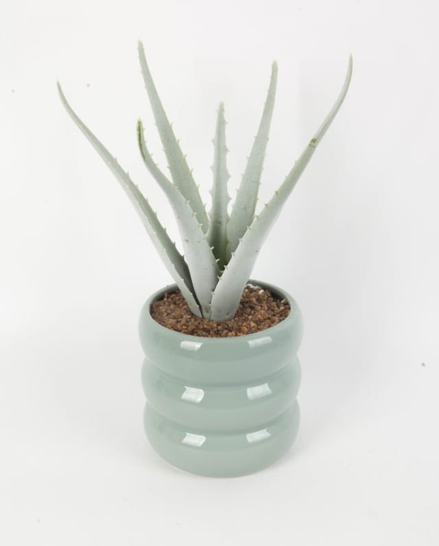 TrendLine Kunstpflanze Aloe Ø 13 x 29 cm grün